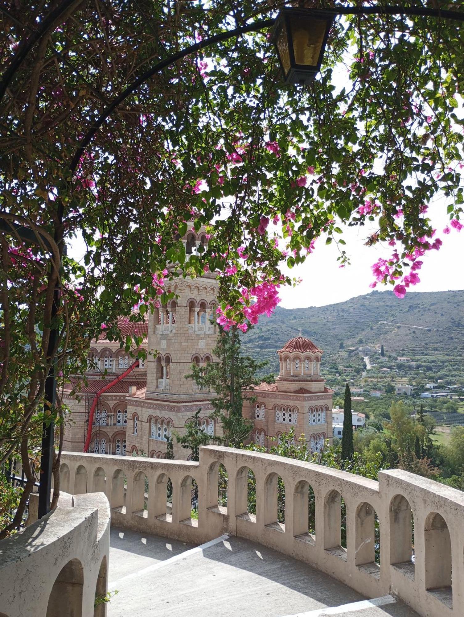 Svetlana & Michalis Oasis Hotel Agia Marina  Exterior photo